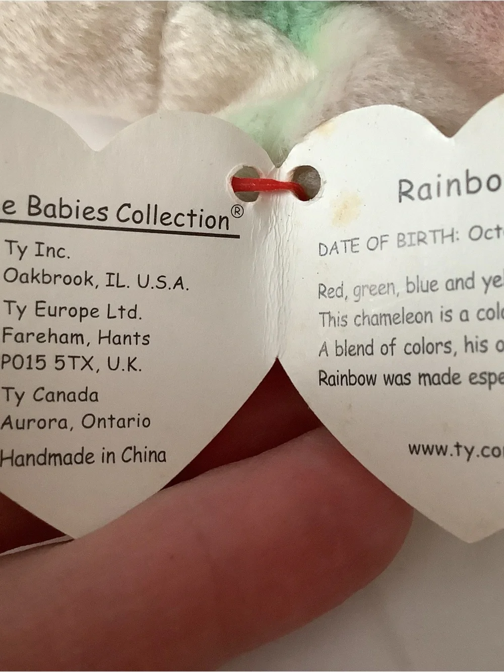 Ty beanie baby rainbow, Iggy, the Laguana chameleon lizard.